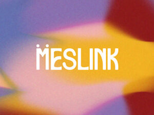 MESLINK