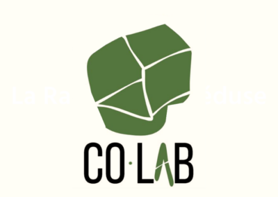 Co.LAB